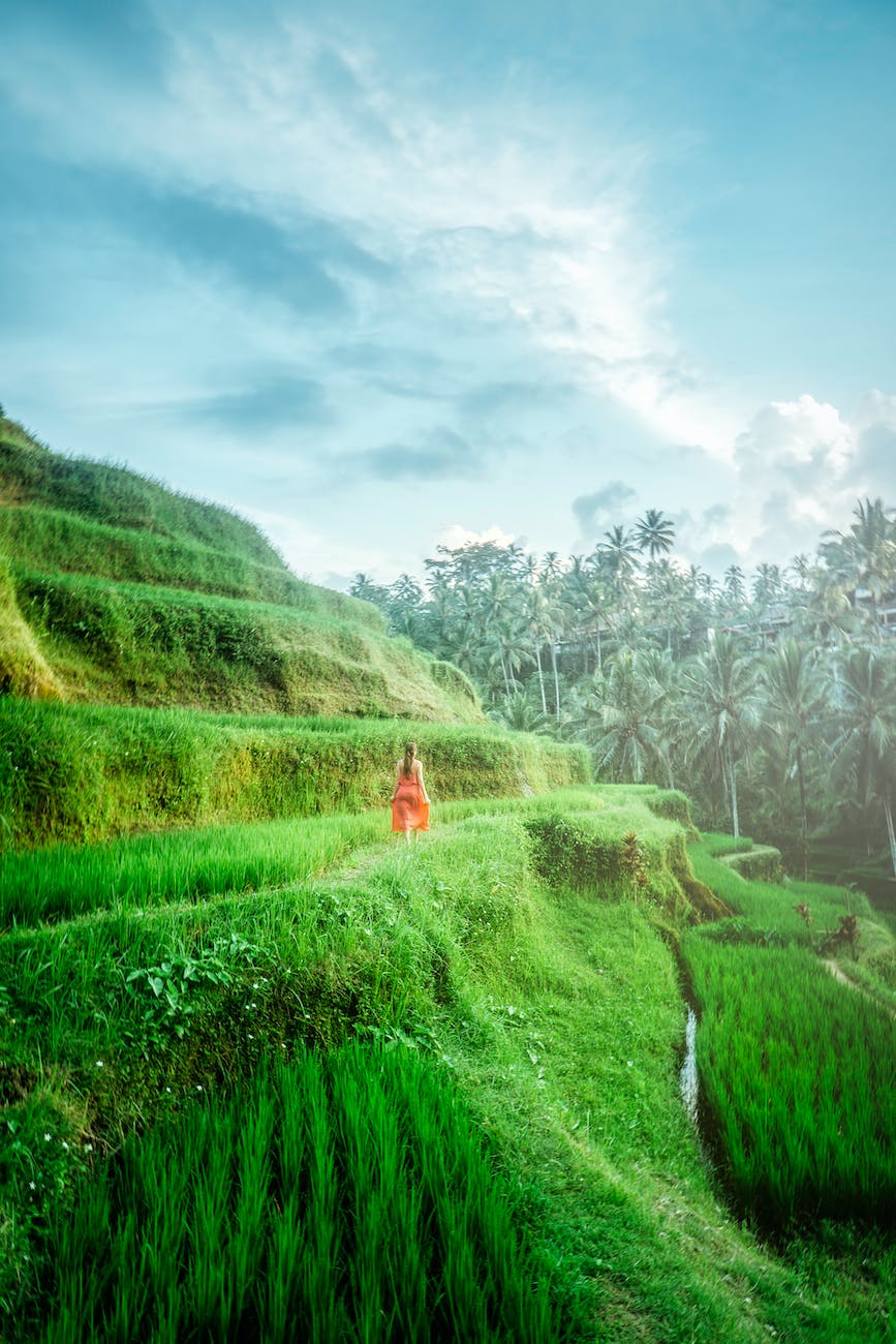 tours by locals bali